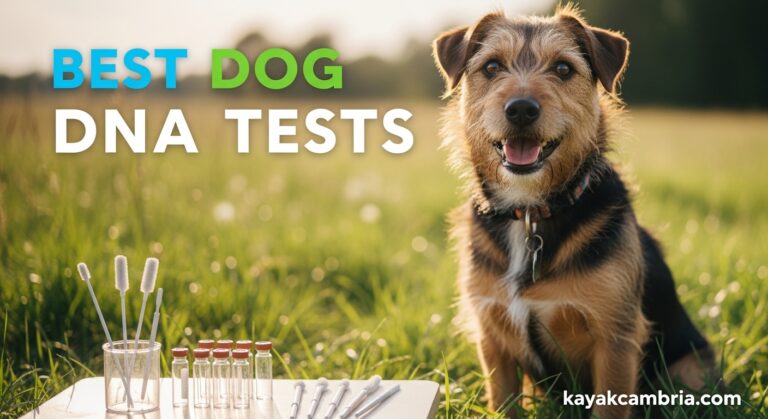 Best Dog DNA Tests