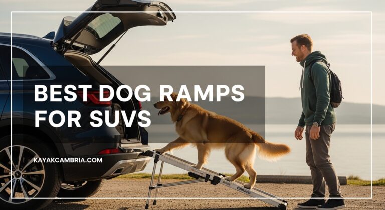 Best Dog Ramps for SUVs