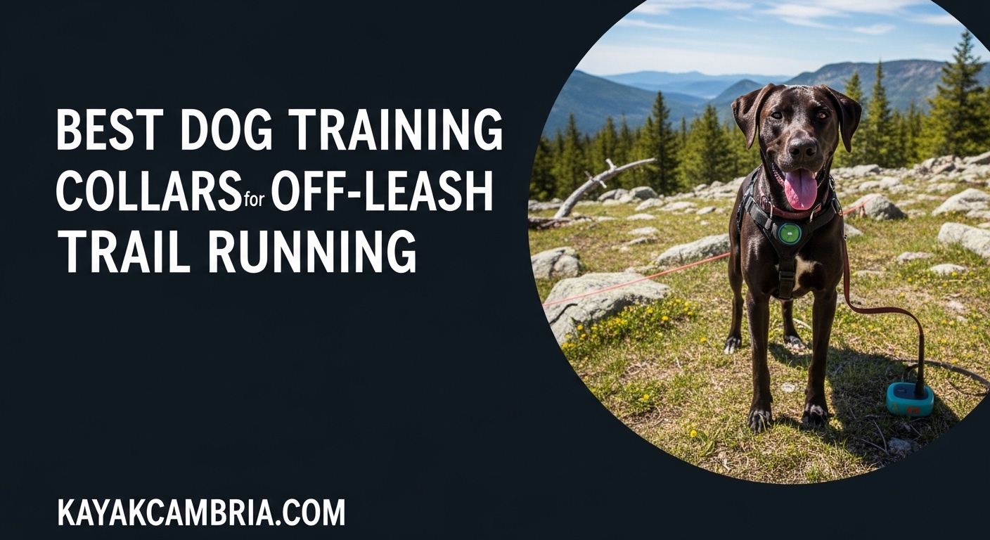 Best Dog Training Collars for Off-Leash Trail Running