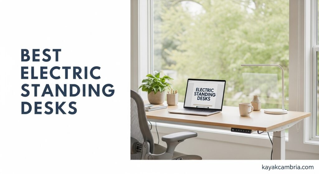 Best Electric Standing Desks