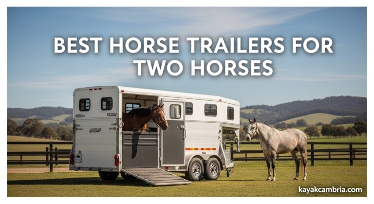 Best Horse Trailers for Two Horses