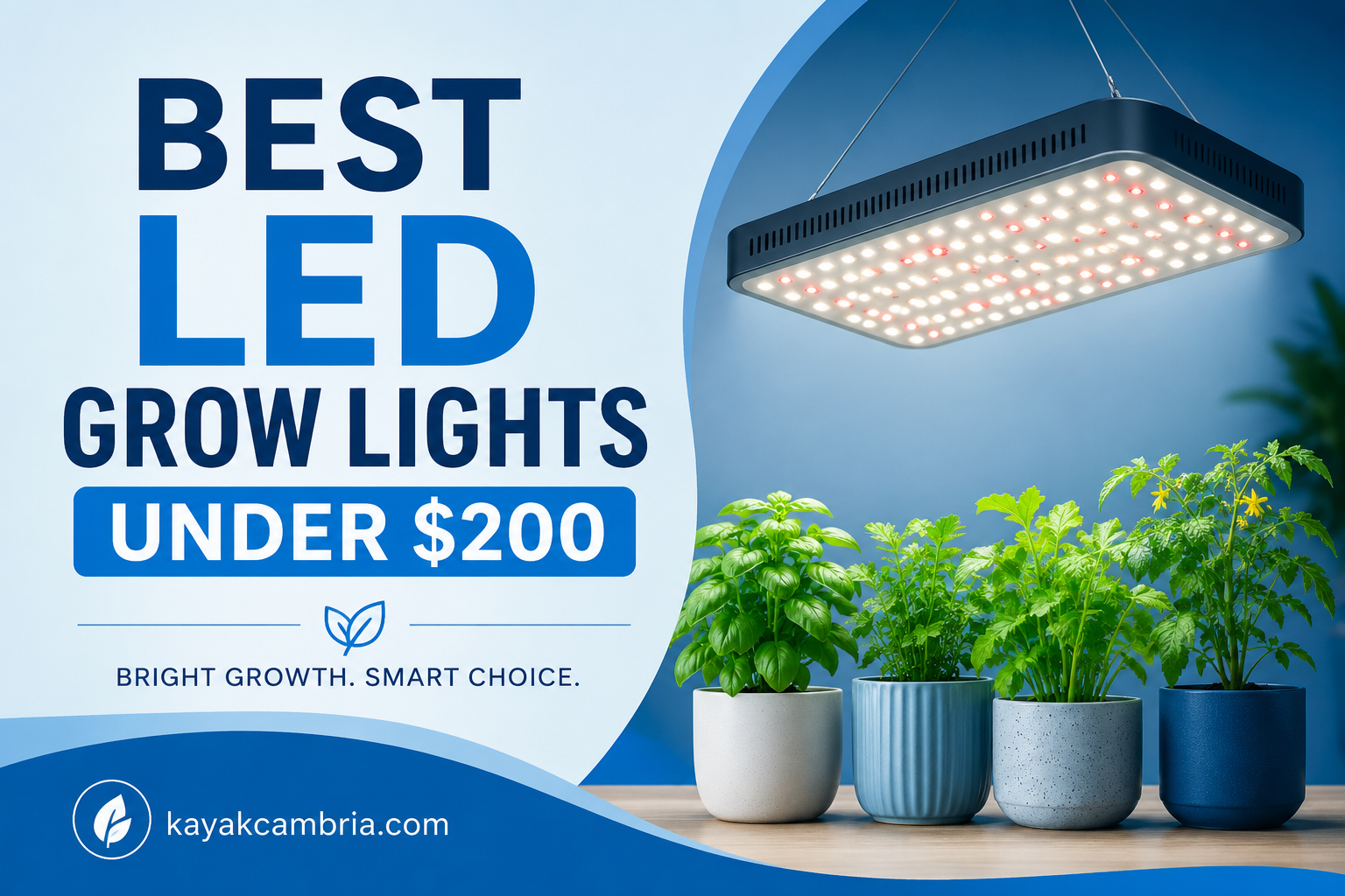 Best LED Grow Lights Under $200