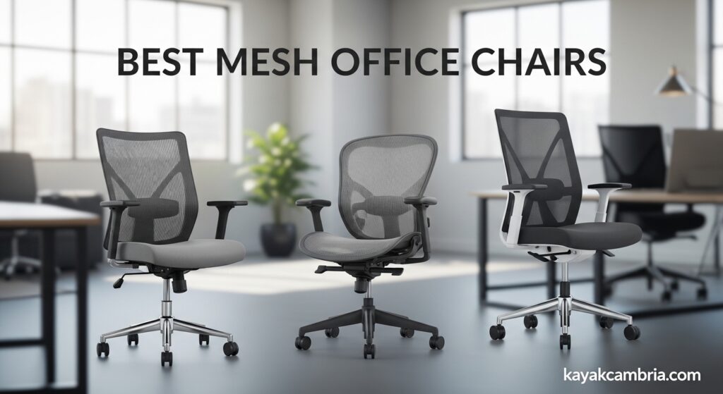 Best Mesh Office Chairs