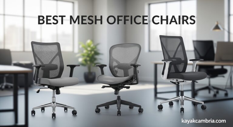 Best Mesh Office Chairs