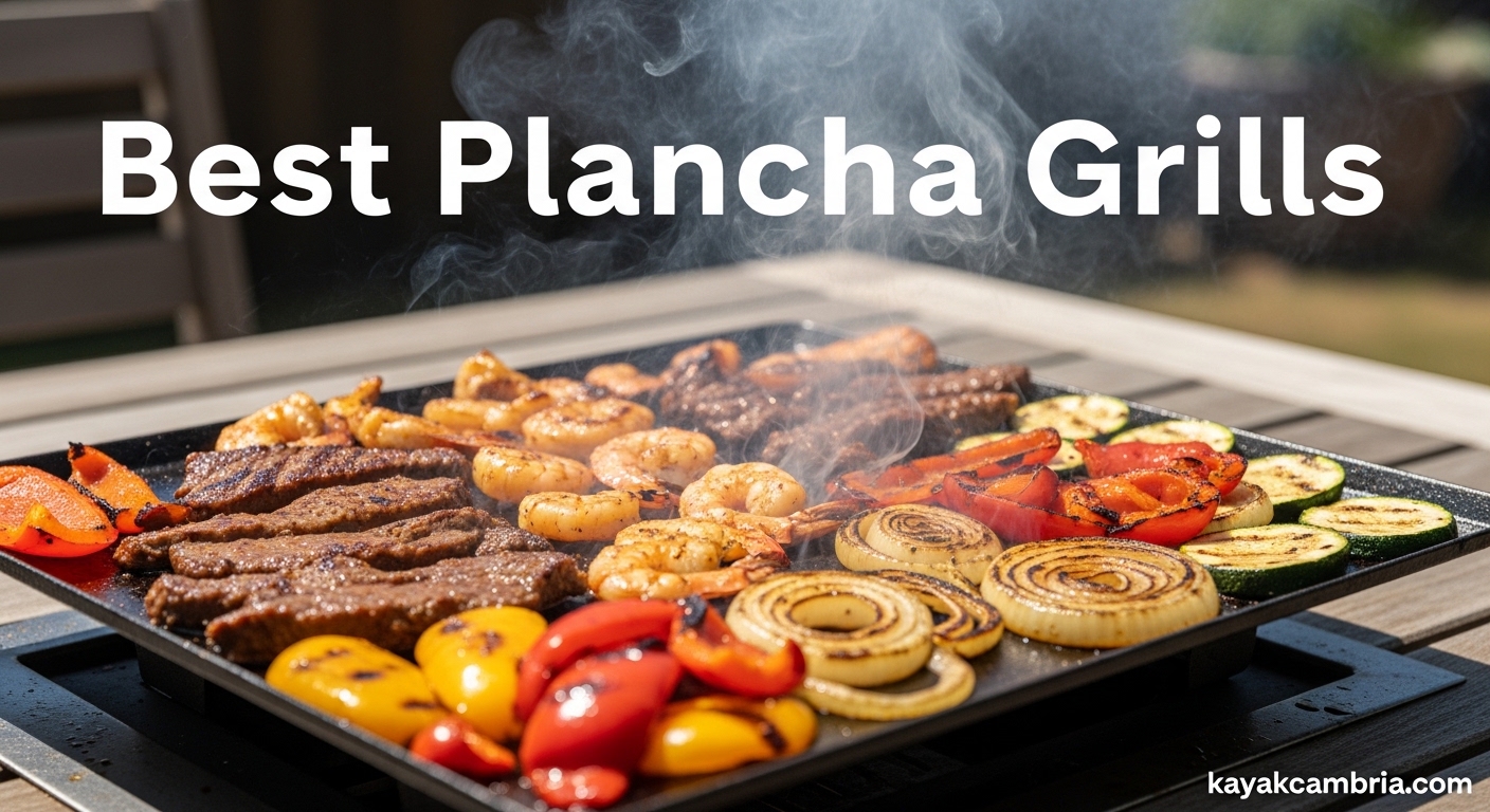 Best Plancha Grills