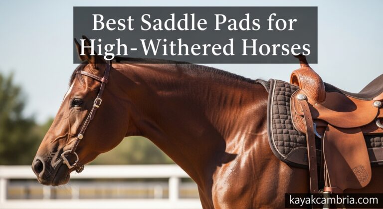 Best Saddle Pads for High-Withered Horses