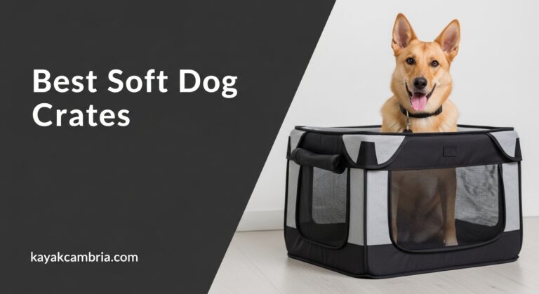 Best Soft Dog Crates
