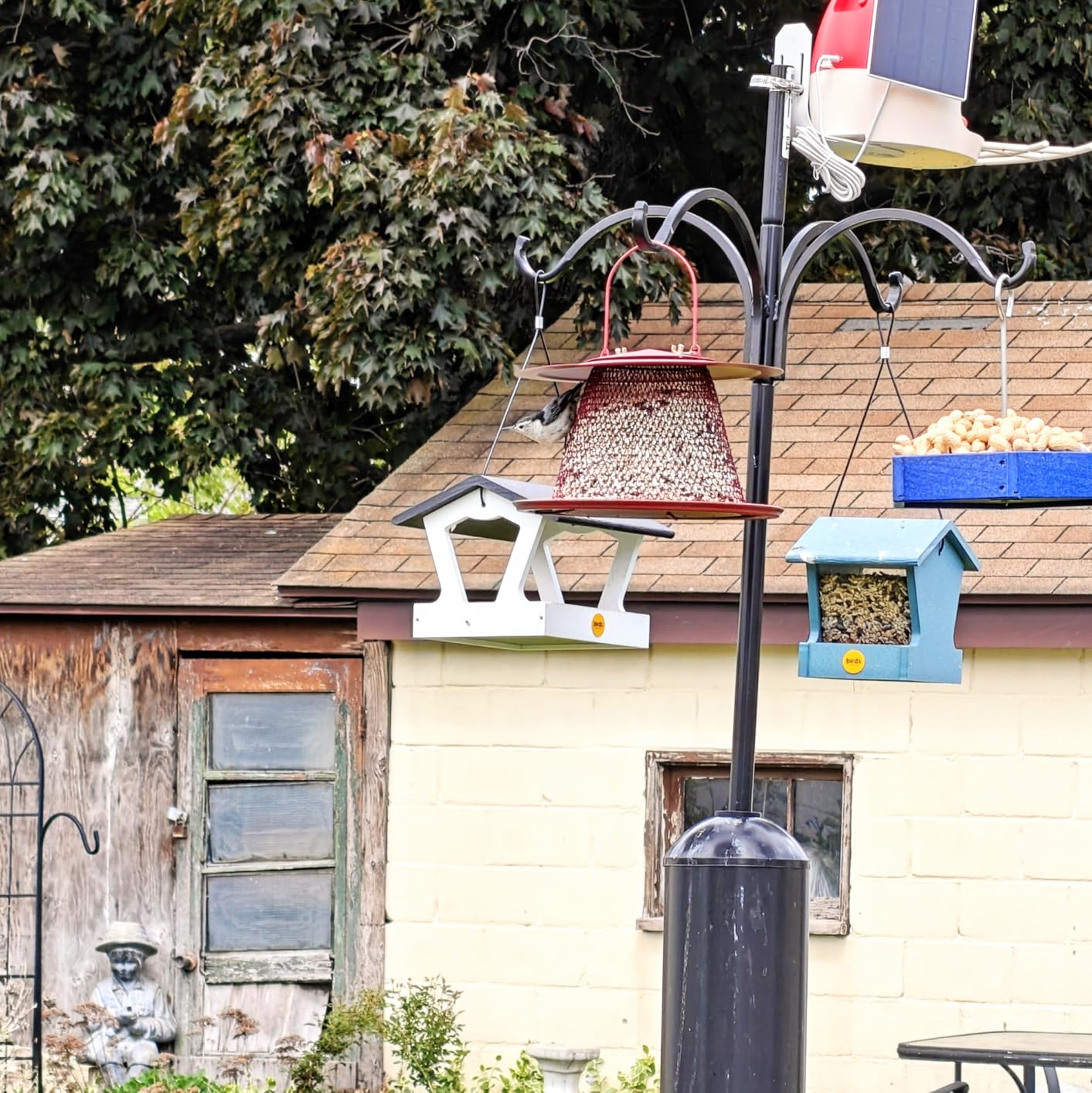 Perky-Pet Red Cardinal Wild Bird Feeder - 2.5 lb Seed Capacity, Holds Up to 15 Birds Simultaneously, Metal Hanging Feeder for Outdoors, Collapsible Mesh Design, Built-In Hook & Circular Tray, C00322 customer photo 1