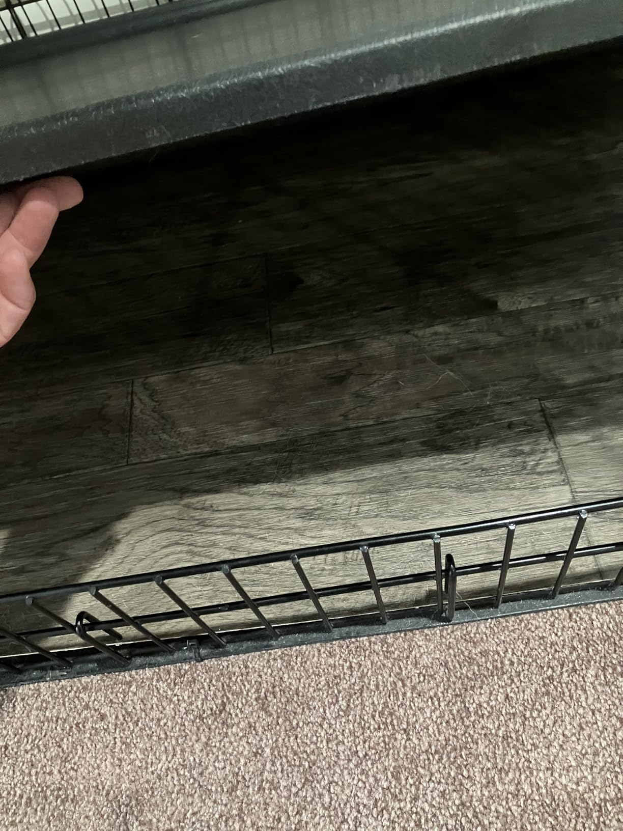 MidWest Homes for Pets 36-Inch iCrate for Medium-Large Breeds, 41-70 lbs, Single Door Folding Dog Crate with Divider Panel, Leak-Proof Tray & Secure Latches, Portable, Durable & Easy to Assemble customer photo 1