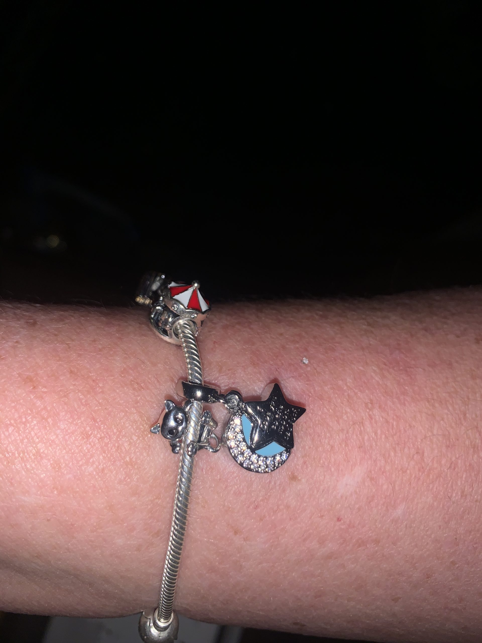 Pandora Jewelry Iconic Moments Snake Chain Charm Bracelet customer photo 1