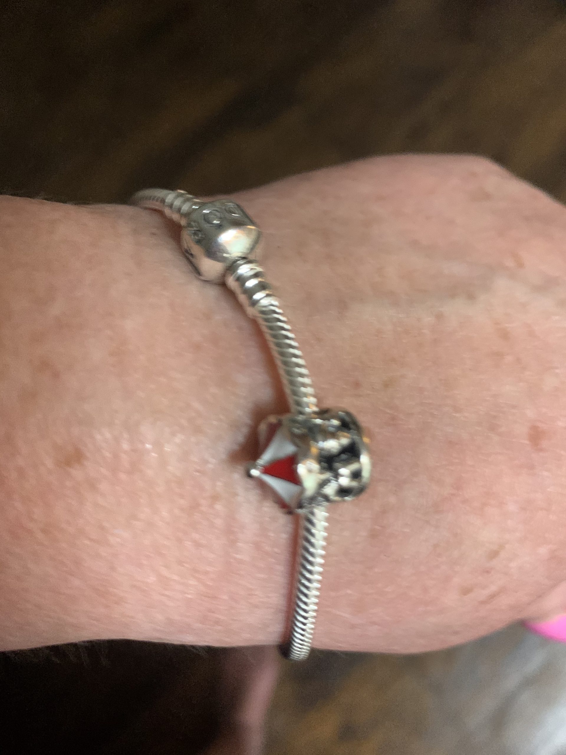 Pandora Jewelry Iconic Moments Snake Chain Charm Bracelet customer photo 2