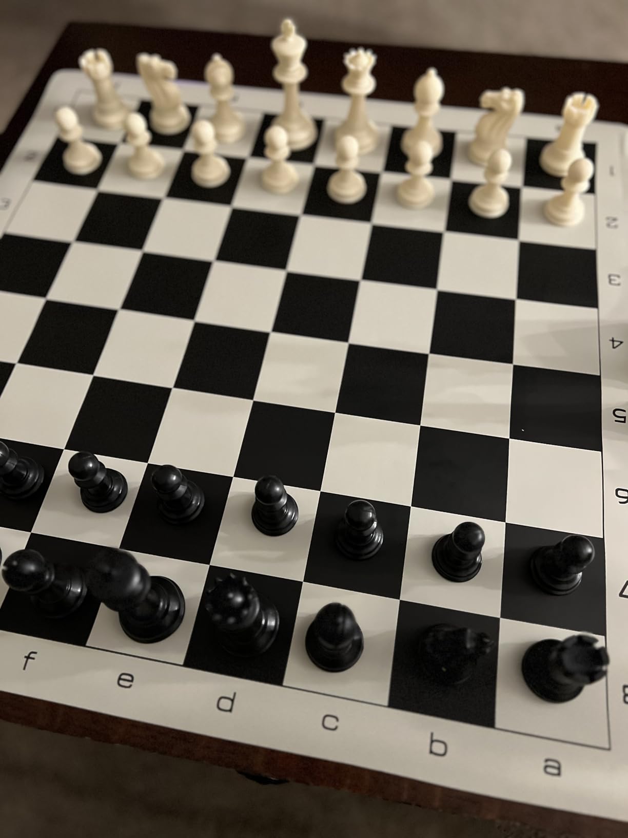 WE Games Best Value Tournament Chess Set - Includes 34 Chess Pieces, Roll Up Vinyl Chess Board, Chess Bag and Equalizer Dice customer photo 2