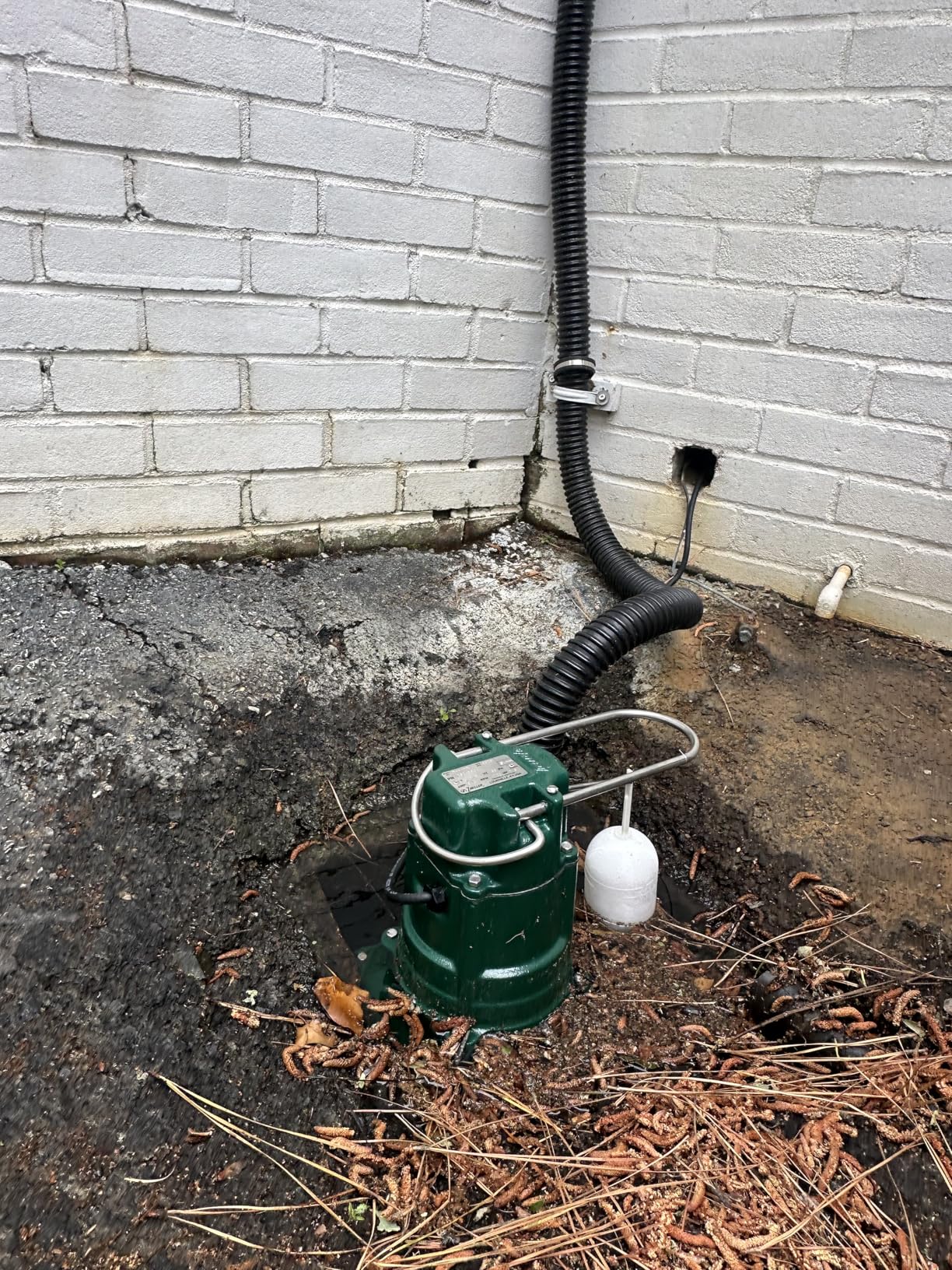 Zoeller Waste-Mate 267-0001 Sewage Pump, 1/2 HP Automatic - Heavy-Duty Submersible Sewage, Effluent or Dewatering Pump customer photo 1