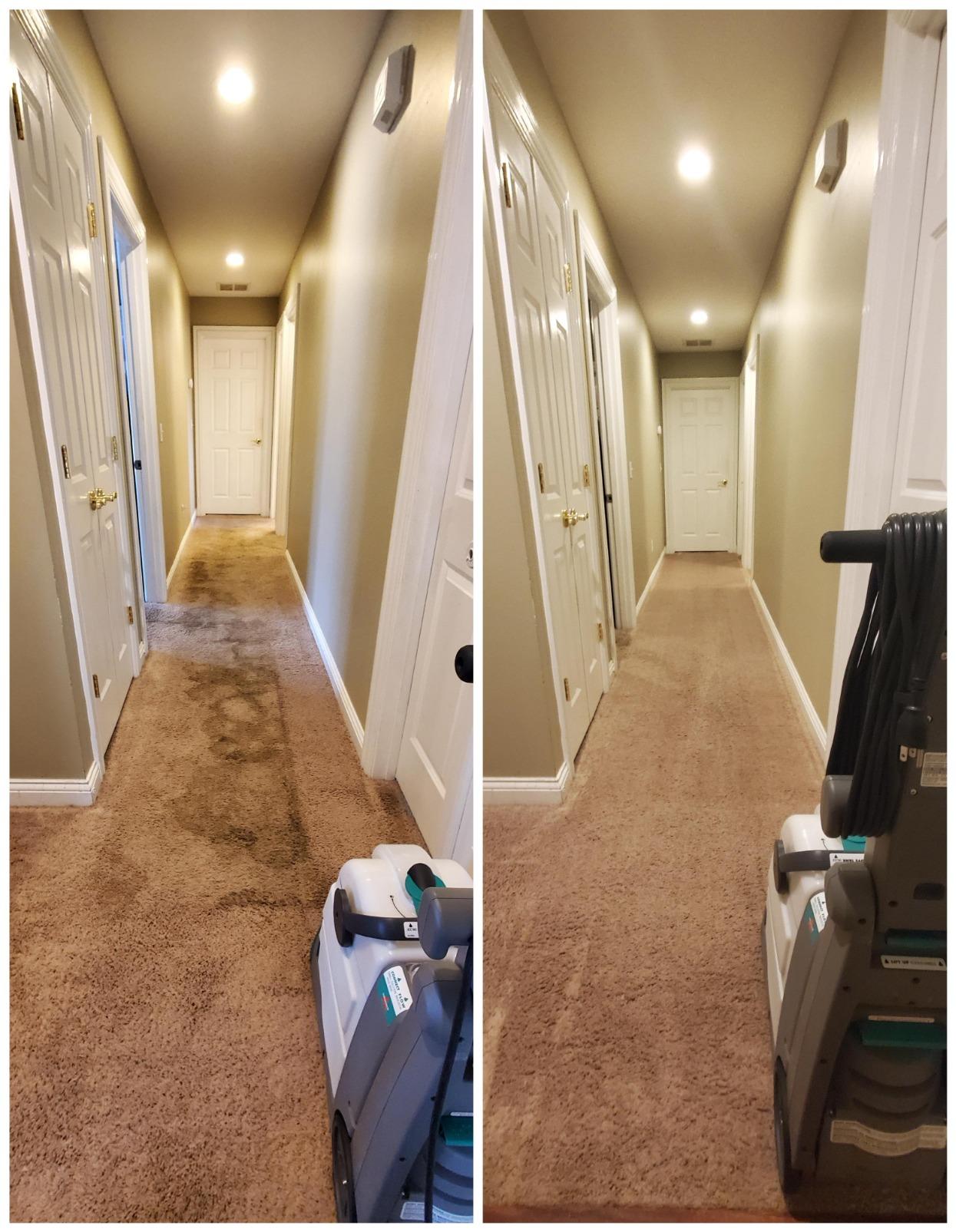 BISSELL Big Green Professional Carpet Cleaner with XL DirtLifter PowerBrush, 9-inch Long Reach Hose, 6-inch Tough Stain Tool, Includes BISSELL PRO MAX Formula with Stain Protect Technology customer photo 1