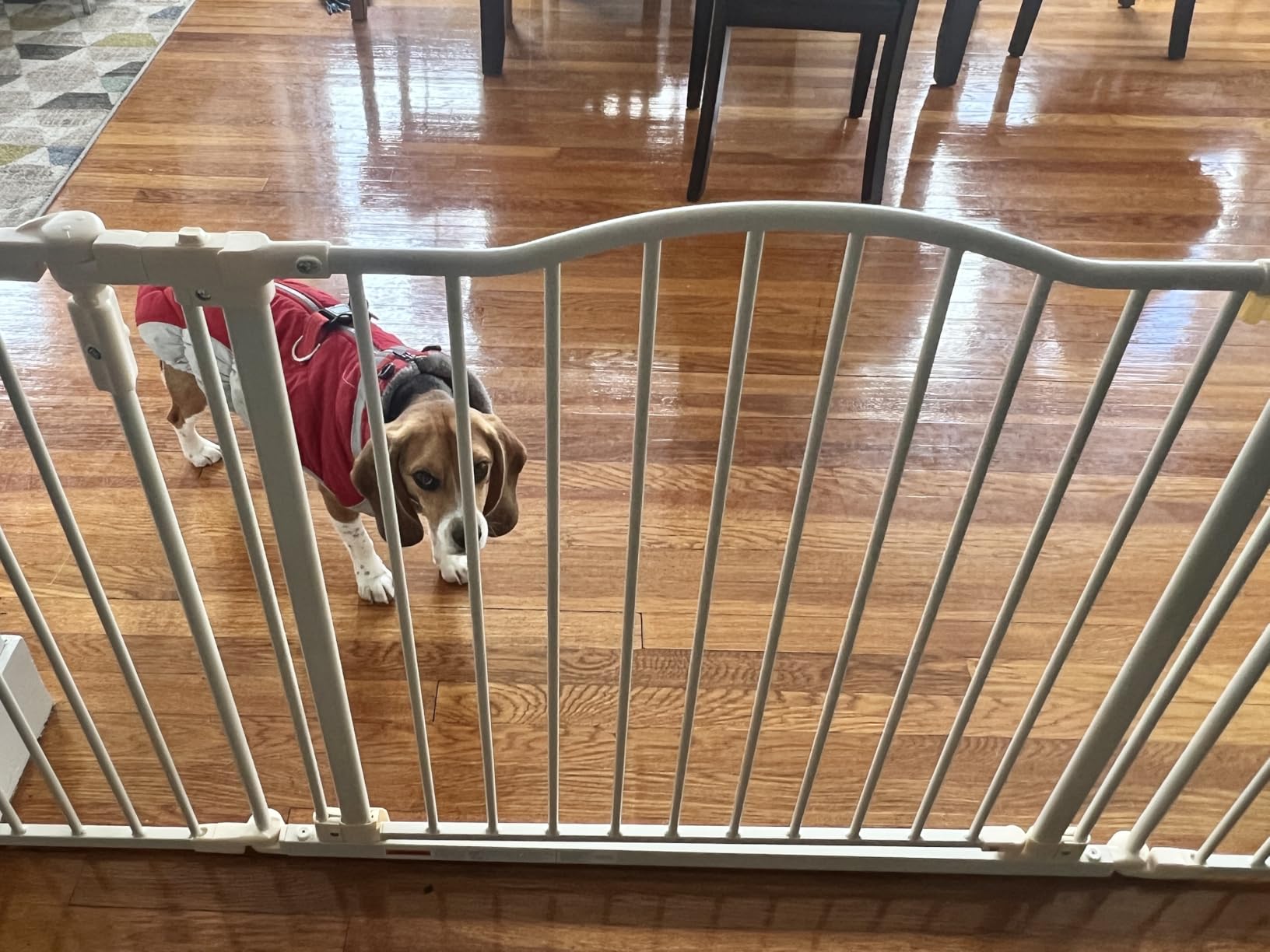 Toddleroo by North States - Deluxe Decor Safety Gate: Hardware Mounted Extra Wide Metal Baby Gate - Adjustable Child Gate - 38.3 to 72 Inches Wide - 30 Inches Tall - Matte Bronze customer photo 2