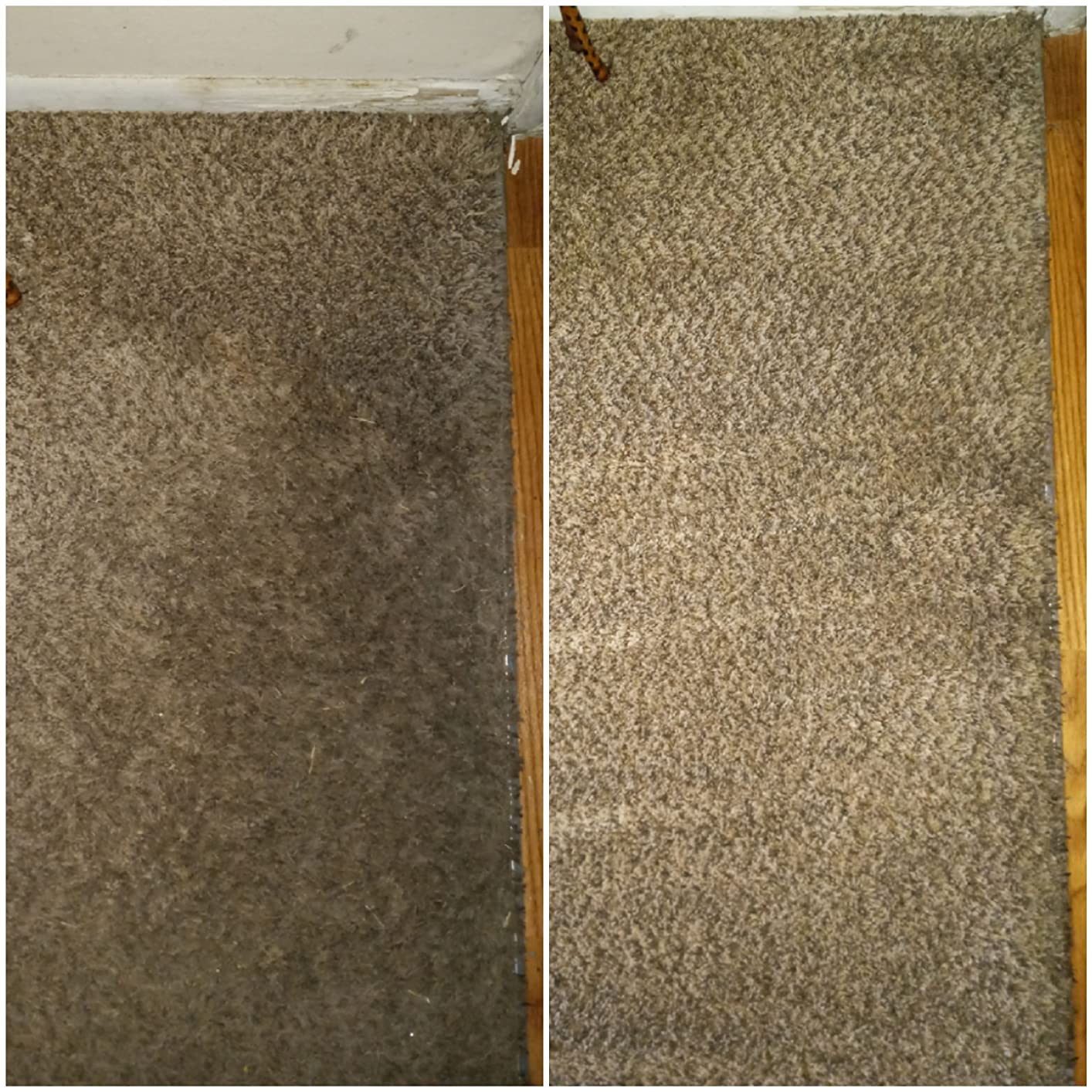 Resolve Professional Strength Spot and Stain Carpet Cleaner, Carpet Cleaner Solution, 32 Fl Oz customer photo 1