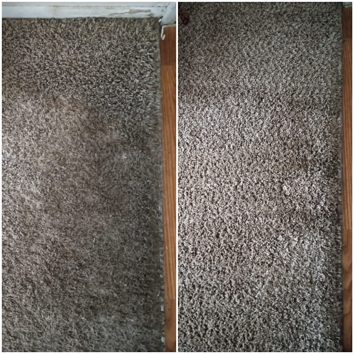 Resolve Professional Strength Spot and Stain Carpet Cleaner, Carpet Cleaner Solution, 32 Fl Oz customer photo 2