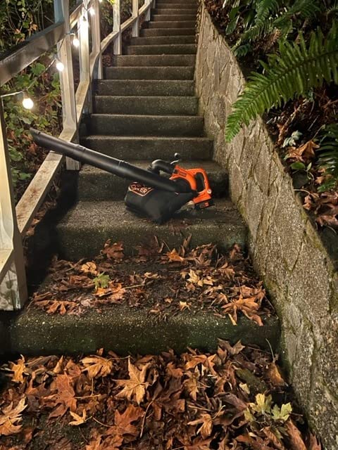 BLACK+DECKER Leaf Blower Cordless Leaf Vacuum and Mulcher Combo Kit, Battery and Charger Included, 40V 120 mph Air Speed, 6-Speed Dial, Built-in Scraper with Collection Bag (LSWV36) customer photo 2
