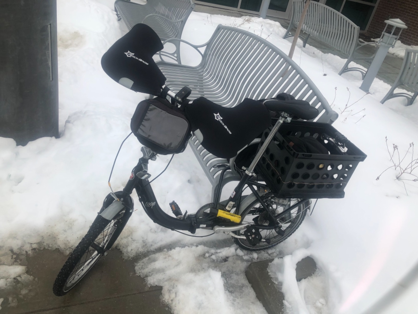 Schwinn Loop 20-inch Folding Bike with Carry Bag, Amazon's Choice for Folding Commuter Bike customer photo 1