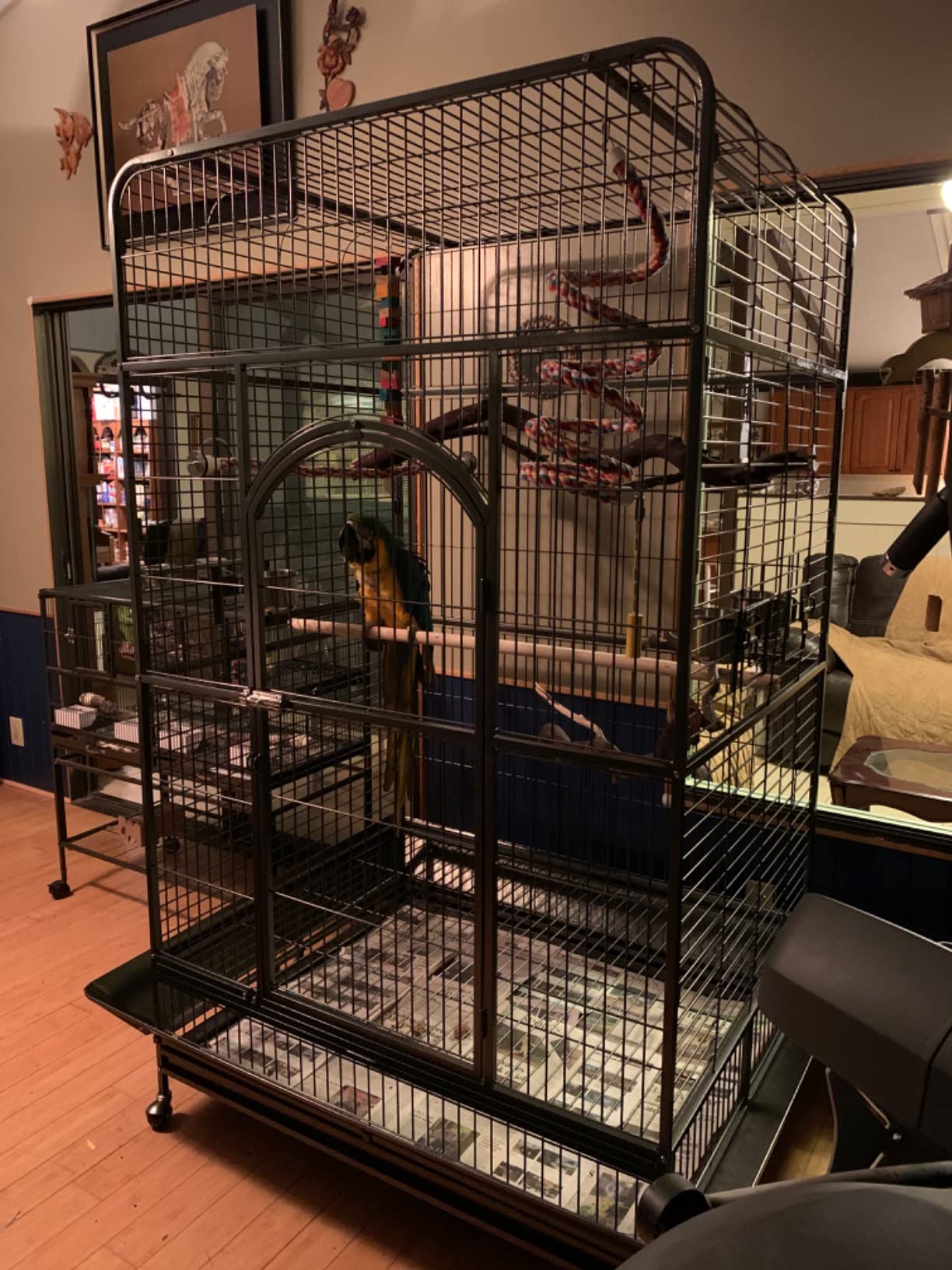 Prevue Pet Products Empire Bird Cage, X-Large, Black Hammertone, 46
