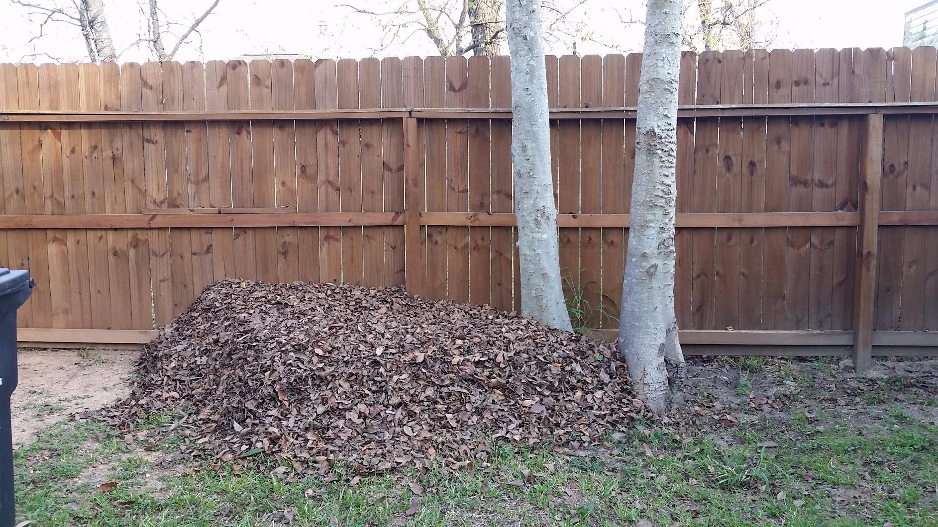 BLACK+DECKER Electric Leaf Blower, Leaf Vacuum and Leaf Mulcher, 3-in-1 300 CFM 210 MPH 12-Amp Handheld Lightweight Corded Electric Combo Kit (BV3100) customer photo 2