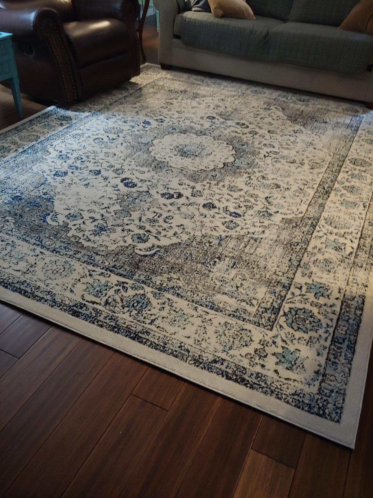 SAFAVIEH Evoke Collection Area Rug - 8' x 10', Ivory & Blue, Shabby Chic Oriental Medallion Design, Non-Shedding & Easy to Clean, Ideal for Living Room, Bedroom, Dining Space (EVK220C) customer photo 2