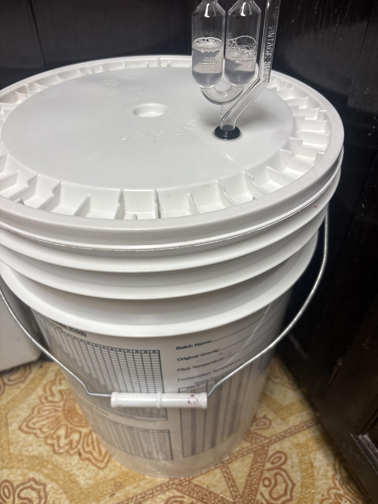 Wild Grapes DIY Wine Making Kits, Cabernet Sauvignon, Makes up to 30x750mL | Premium Ingredients, Ready in 4 Weeks, Includes Wine Base, Yeast, Fining Agents And 30 Labels customer photo 1