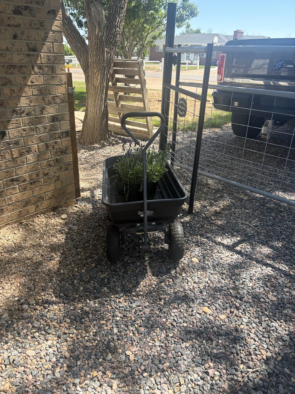 Gorilla Carts Poly Dump Cart, 600 lb. Capacity, 4 Cu ft, Quick Release Dump customer photo 2