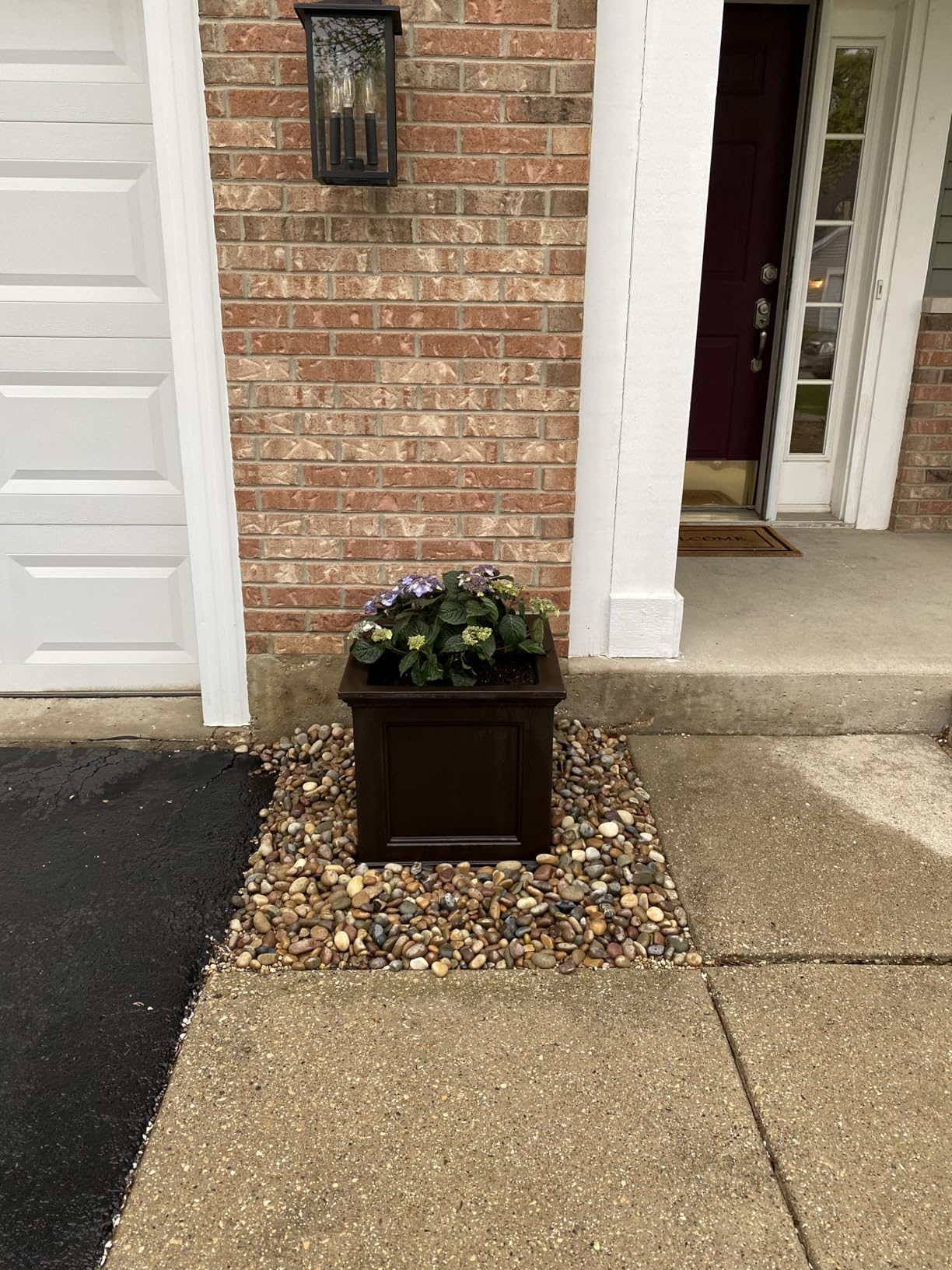 Mayne Fairfield 20-Inch Square Planter - Self-Watering, Weather-Resistant Planter for Flowers - Durable Outdoor Design for Patio, Porch, or Entryway, Espresso customer photo 2
