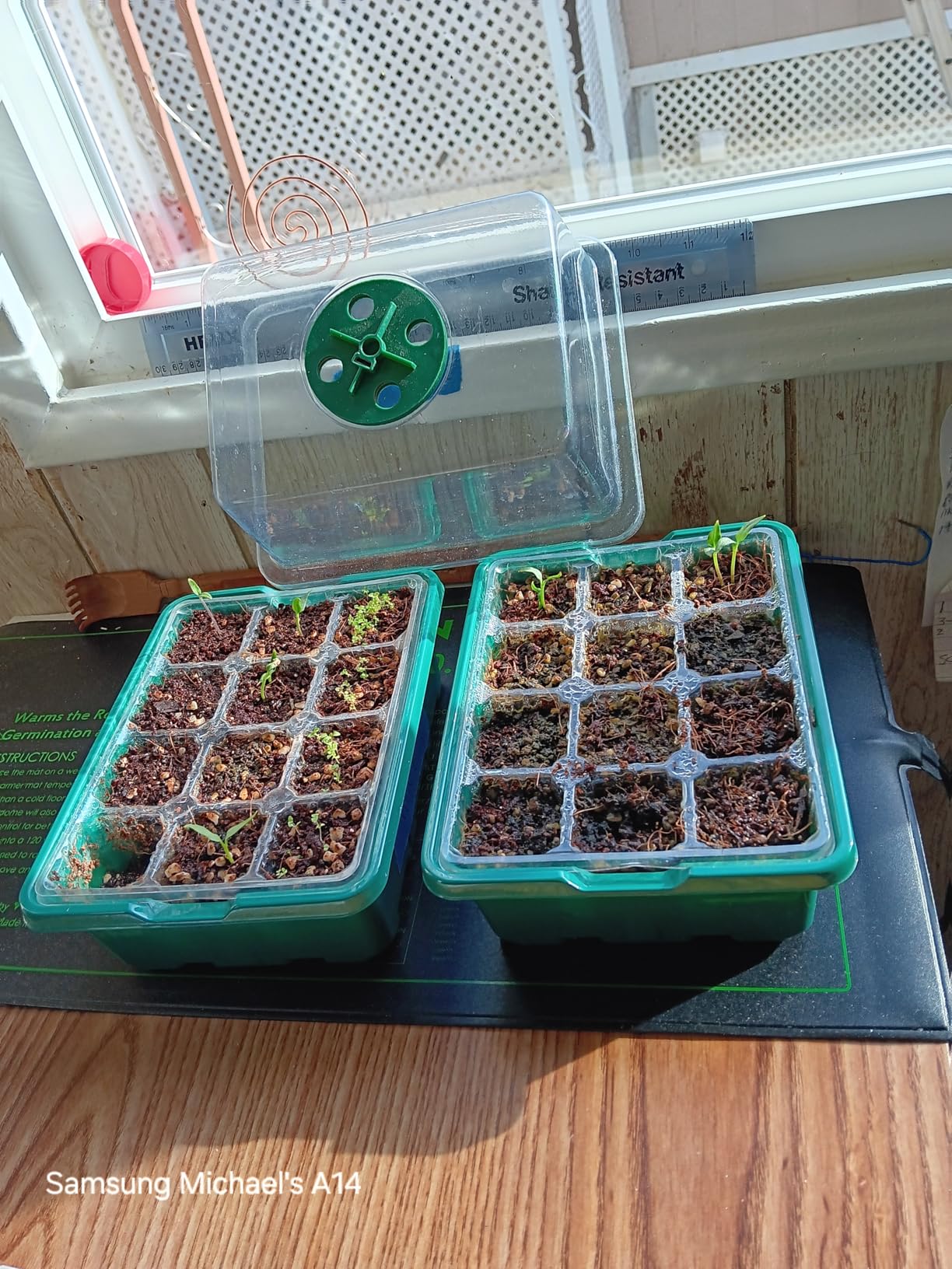 VIVOSUN Durable Waterproof Seedling Heat Mat 48