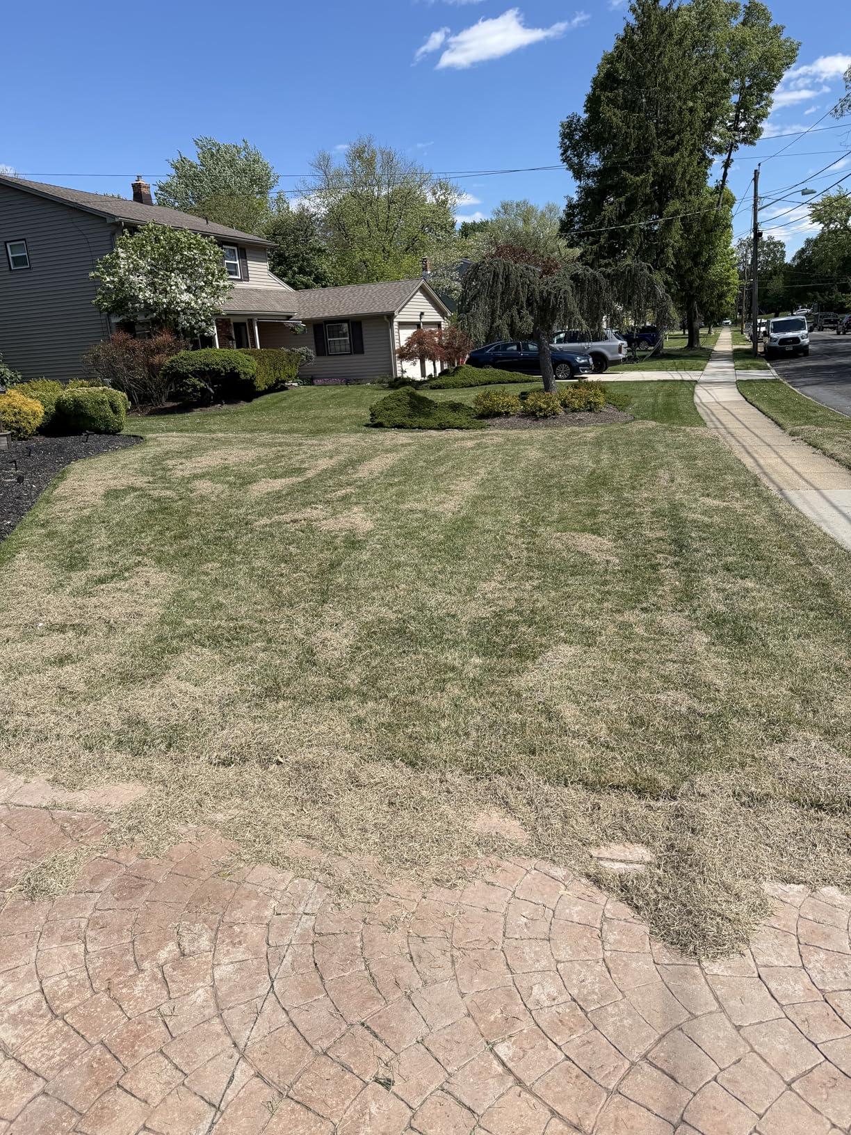 Sun Joe Electric Dethatcher & Scarifier, Corded, with 8-Gal Bag, 12.6-Inch Cutting Width, 12-Amp Motor - Heavy-Duty Yard Trimmer for Lawn Maintenance, AJ801E customer photo 2