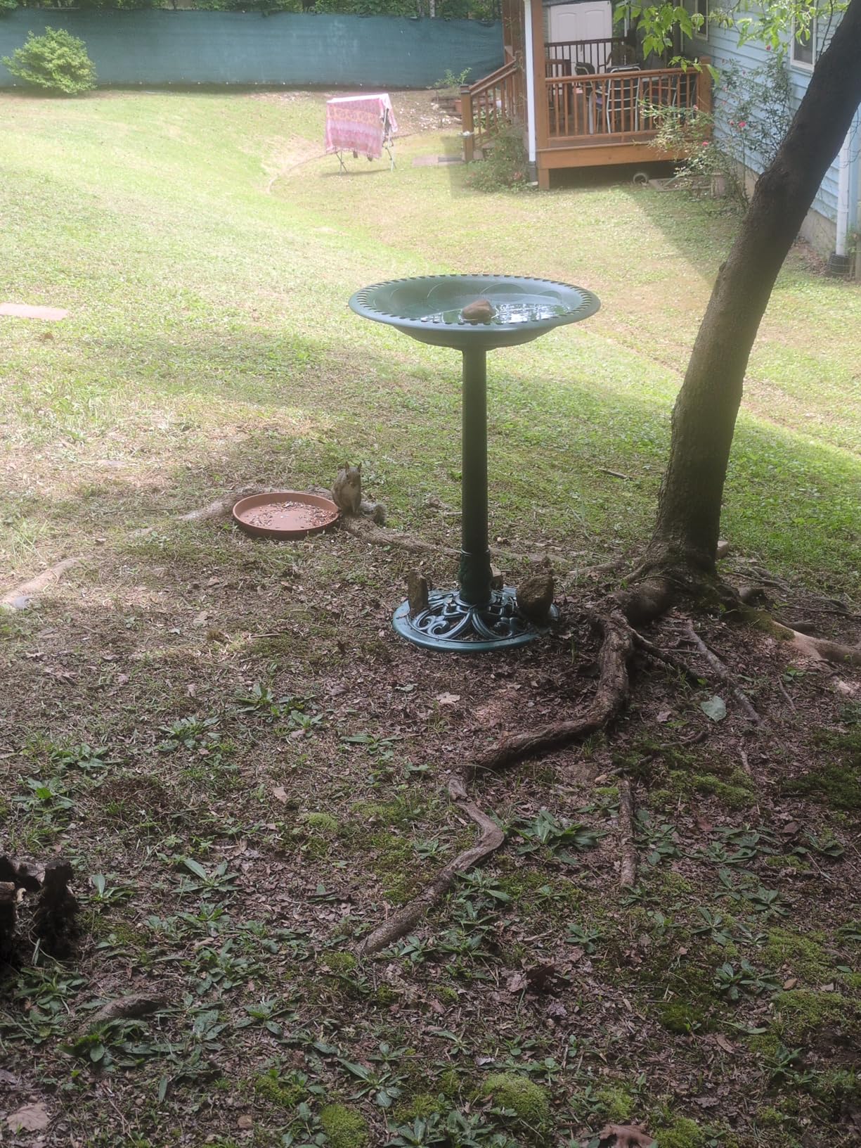 Best Choice Products 28in Pedestal Bird Bath, Vintage Outdoor Resin Accent Decoration w/Fleur-de-Lis Accents - Green customer photo 1