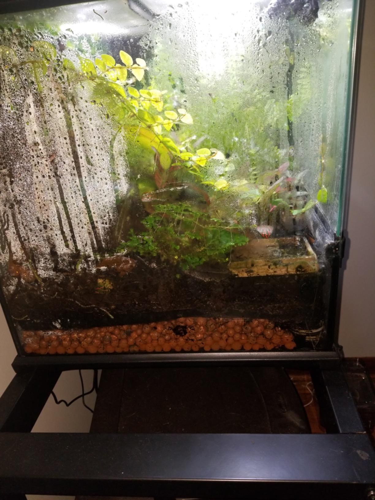 imagitarium by Petco Brooklyn Metal Tank Stand - for 40 Gallon Tanks customer photo 1
