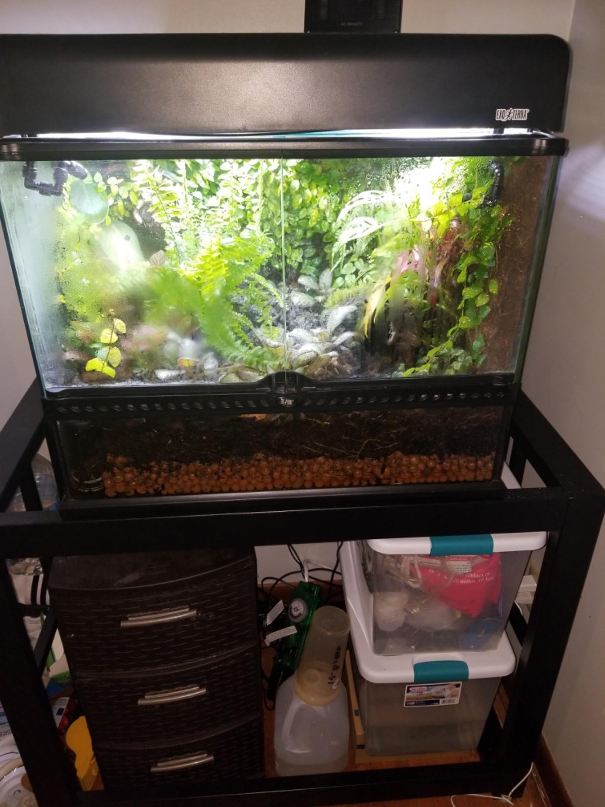 imagitarium by Petco Brooklyn Metal Tank Stand - for 40 Gallon Tanks customer photo 2