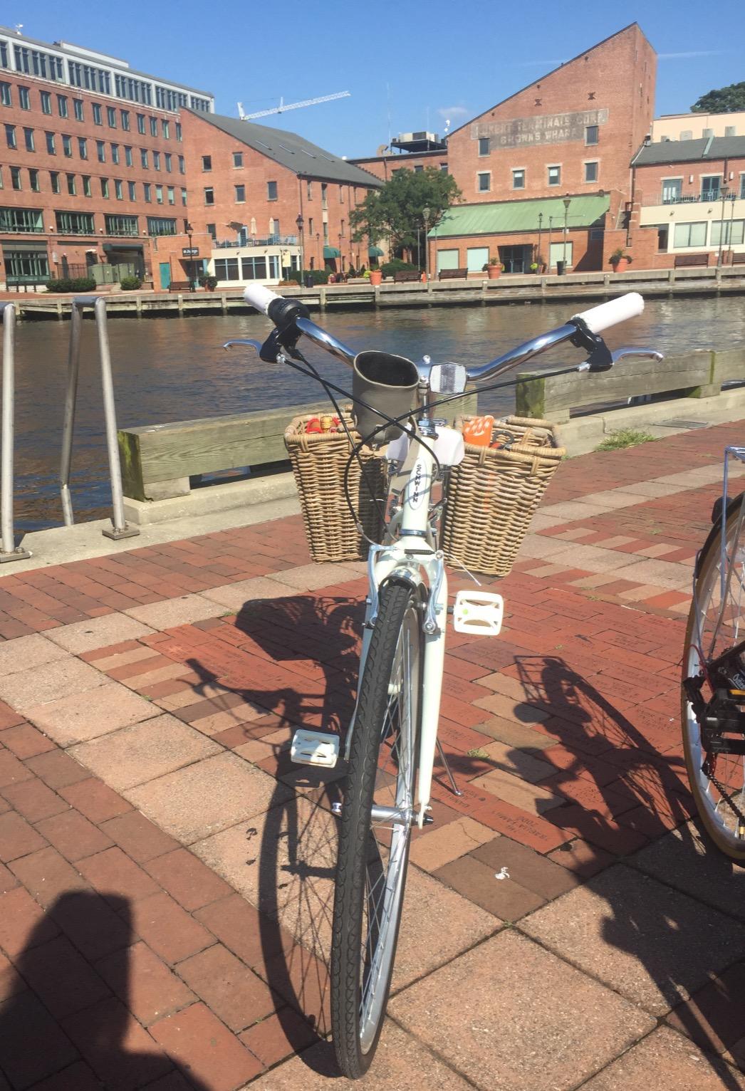 Schwinn Wayfarer Hybrid Bike, 700c 7-Speed Retro Steel Frame with Fenders and Cargo Space customer photo 2