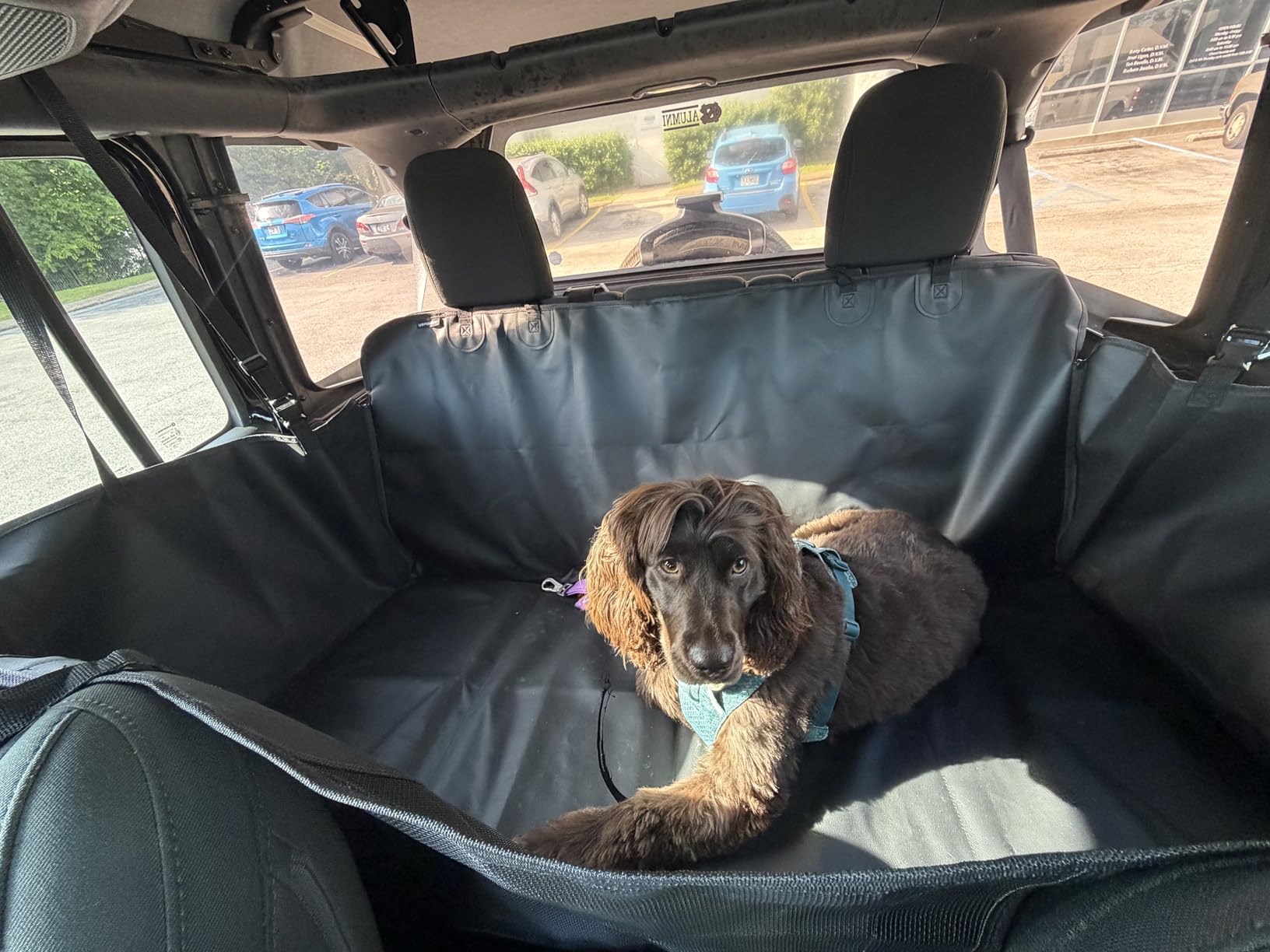 URPOWER Dog Car Seat Cover for Back Seat, Waterproof Hammock for Car & SUV | 600D Oxford, Side Flaps with Zippers, Scratch Resistant, Non-Slip, Easy Install, Machine Washable, Dog Seat Belt Included customer photo 2