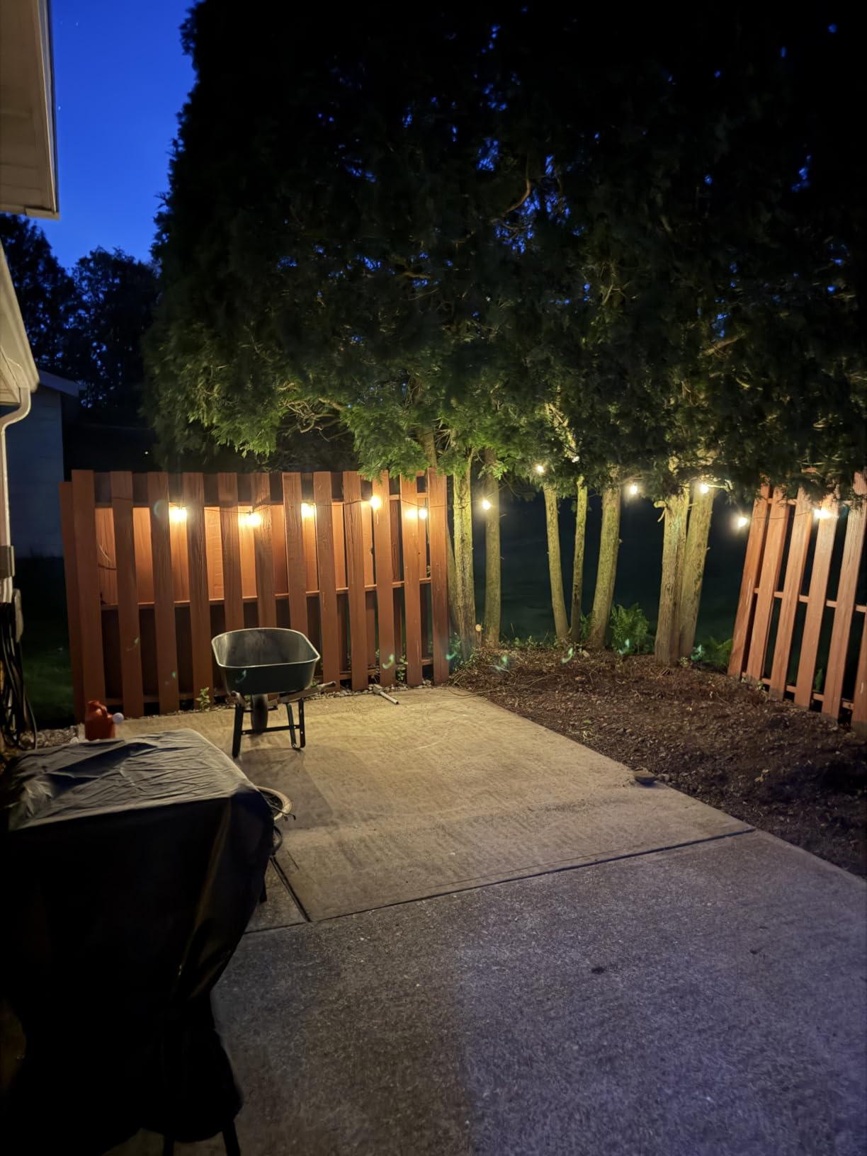 Brightech Ambience Pro Solar Powered Outdoor String Lights -27 ft Commercial Grade Waterproof Edison Patio Lights, Shatterproof LED String Lights for Outside, Porch - 12 Bulbs, 1W Soft White customer photo 2