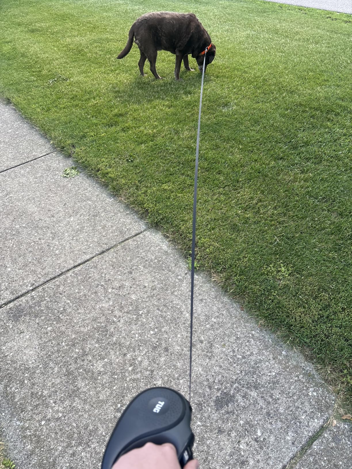 TUG 360 Tangle-Free Retractable Dog Leash | 16 ft Strong Nylon Tape | One-Handed Brake, Pause, Lock (Medium, White) customer photo 1