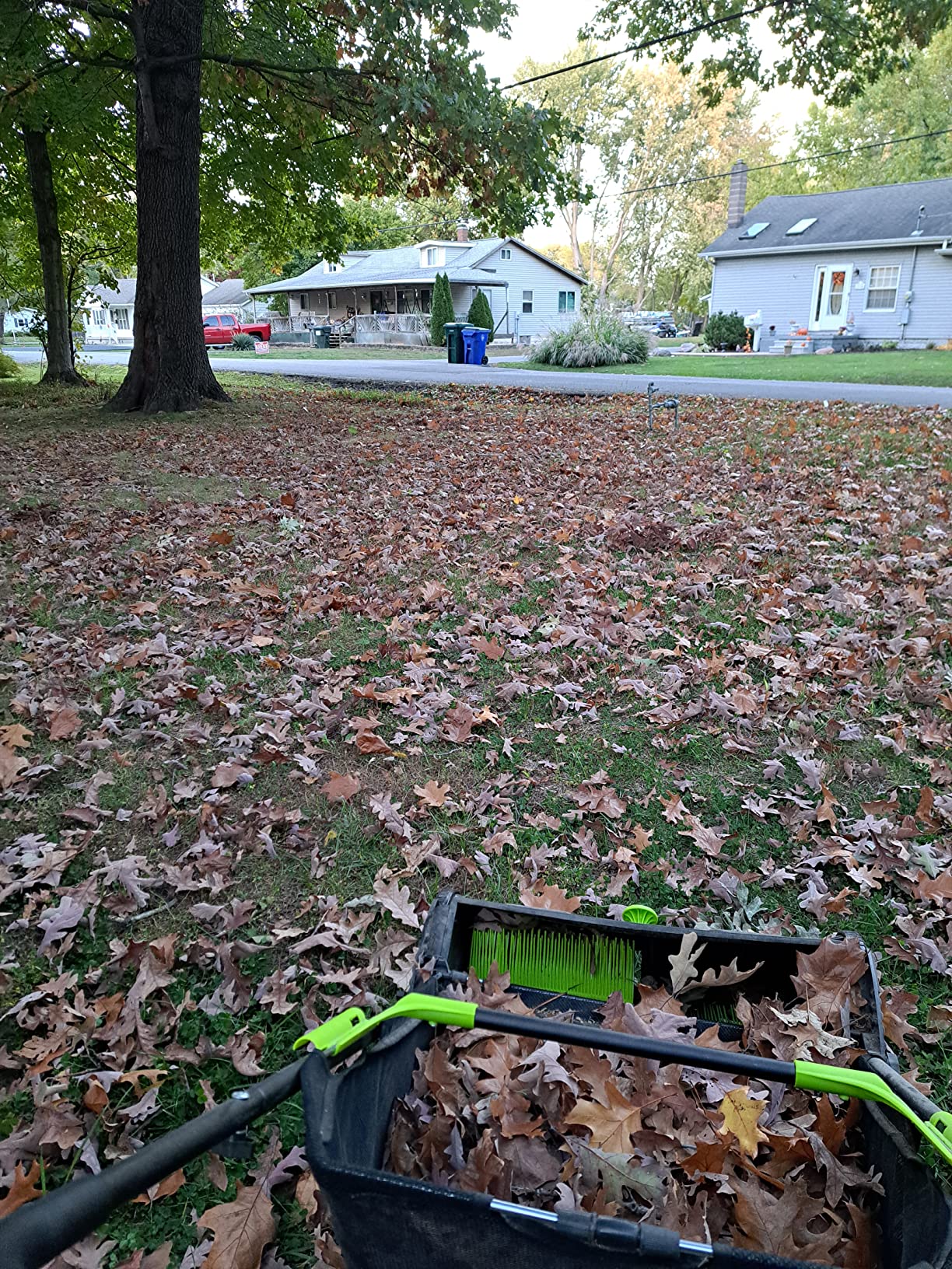 Earthwise LSW70021 21-Inch Width Leaf & Grass Push Lawn Sweeper, Black customer photo 2
