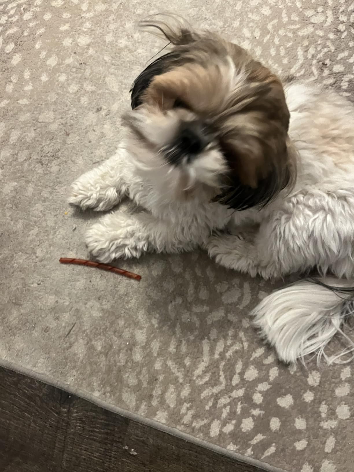 SmartBones Smart Twist Sticks With Peanut Butter, Rawhide-Free Chews For Dogs, 50 Count customer photo 1