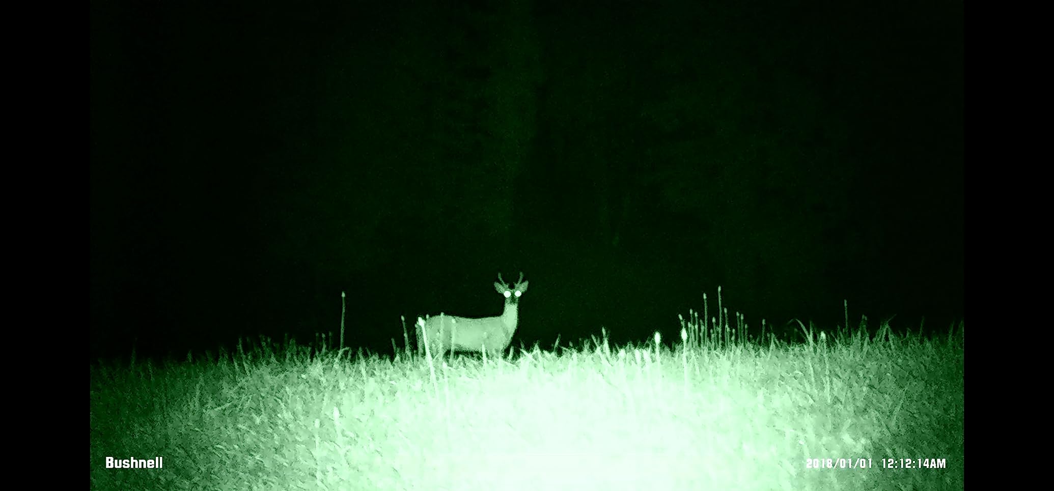 Bushnell Equinox Z2 Night Vision Monocular customer photo 2