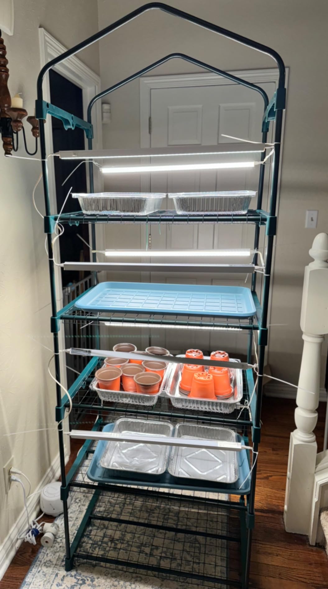 Worth Garden 5 Tier Mini Greenhouse - 75'' H x 27'' L x 19'' W - Sturdy Portable Gardening Shelves with Transparent PVC Cover - Small Porch Green House for Growing Plants Flowers Indoor & Outdoor customer photo 2