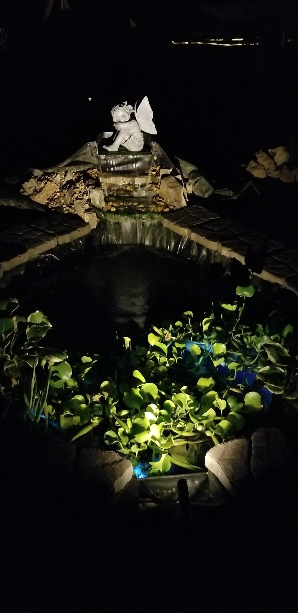 HALF OFF PONDS 15x15 Savio Select 3000 GPH EPDM Liner Water Garden Pond Kit | Heavy duty EPDM rubber liner, 3000 GPH submersible waterfall pump, Complete DIY backyard setup, Ideal for custom koi ponds customer photo 1