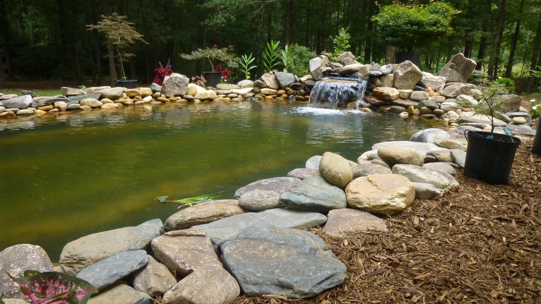 HALF OFF PONDS Complete PRO 5,200 GPH Submersible Pump Pond Kit 20' x 25' EPDM Rubber Pond Liner, Waterfall Filter, Skimmer, Lighting & Plumbing - Koi Pond Kit, Backyard Water Garden customer photo 1