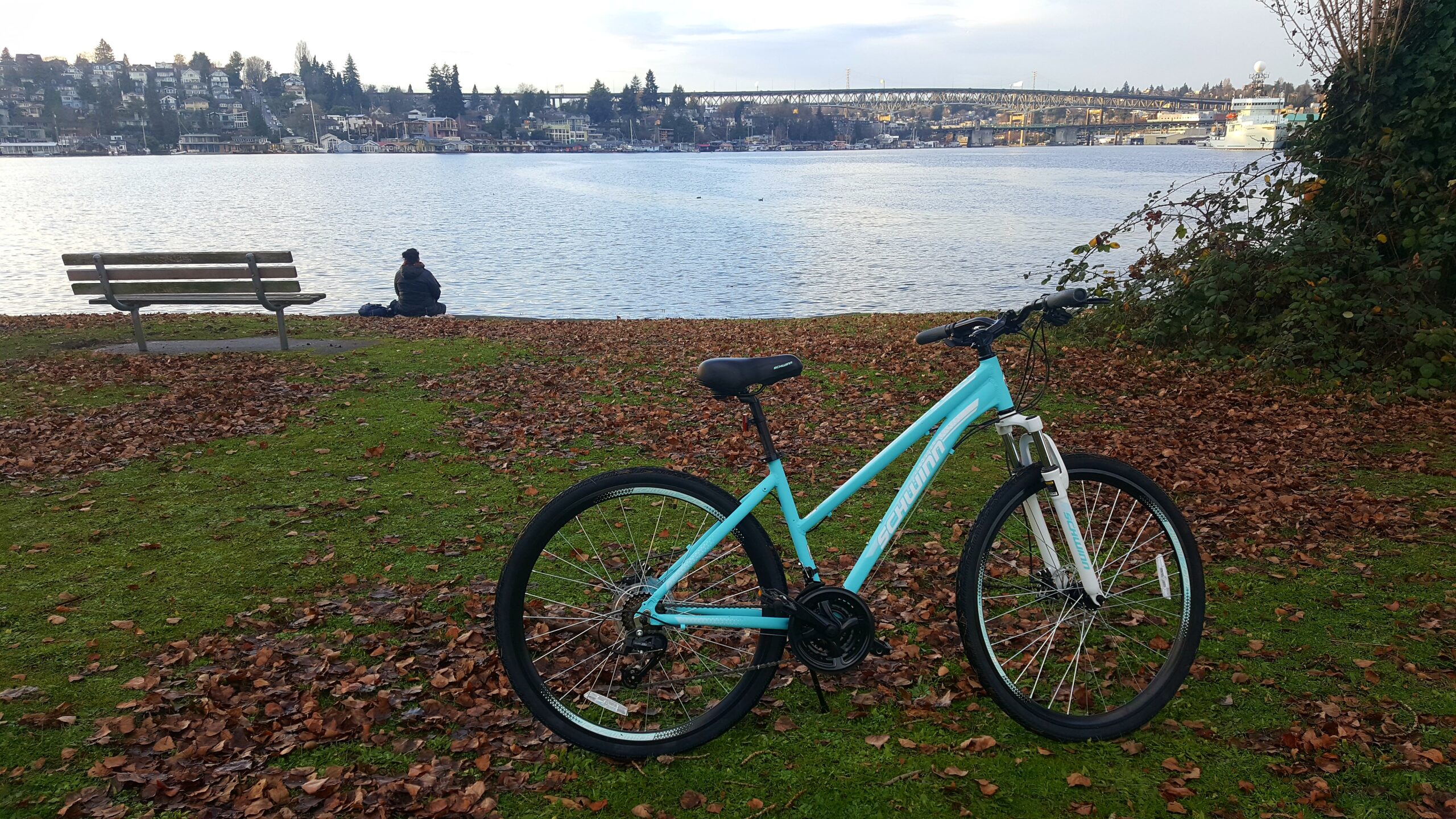 Schwinn GTX Comfort Adult Hybrid Bike, Dual Sport Bicycle, 700c Wheels, Lightweight Aluminum Frame customer photo 2
