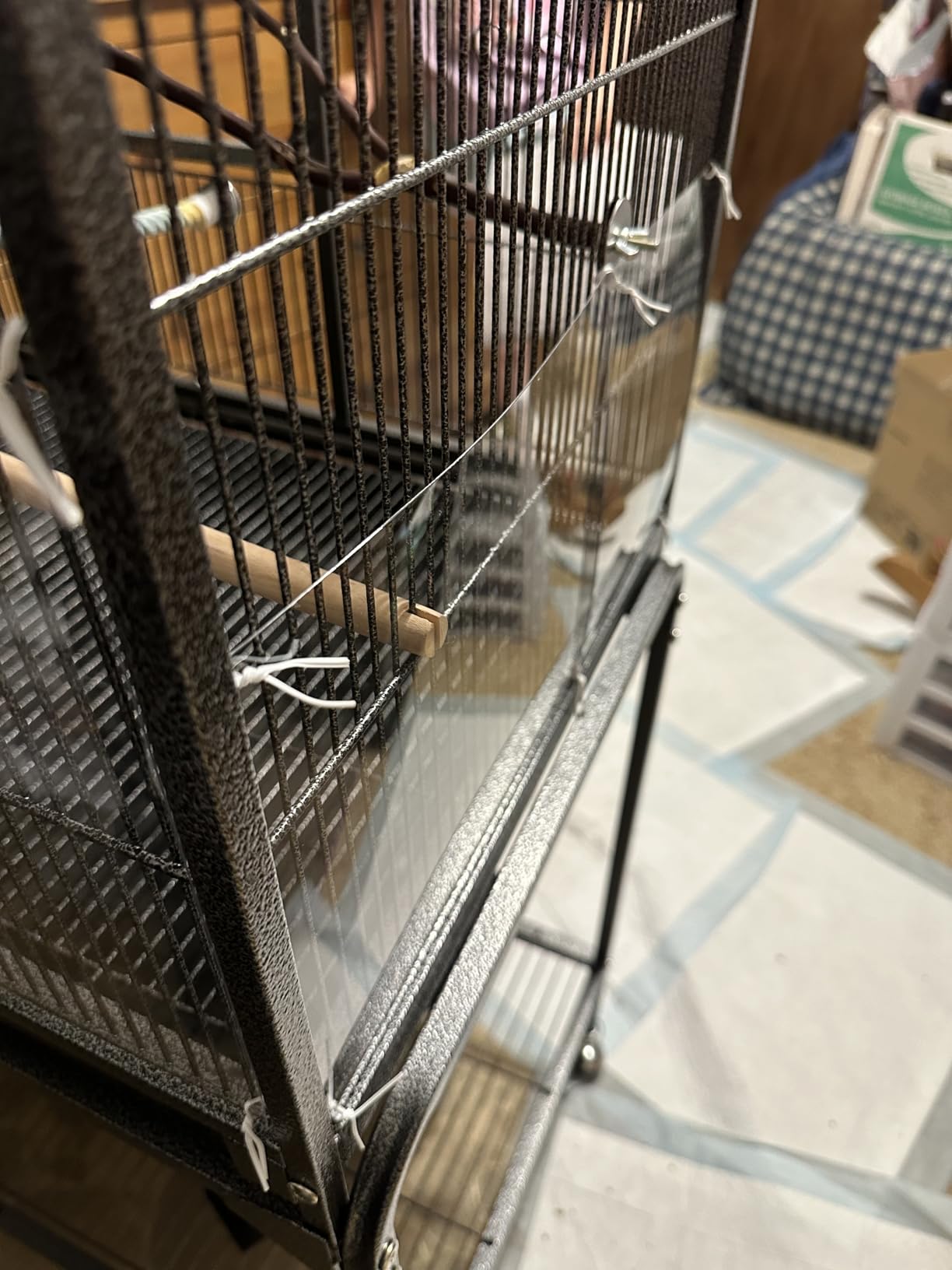 Yaheetech 63-Inch Wrought Iron Rolling Large Bird Cage for African Grey Small Quaker Amazon Parrots Canary Bird Flight Cage customer photo 1