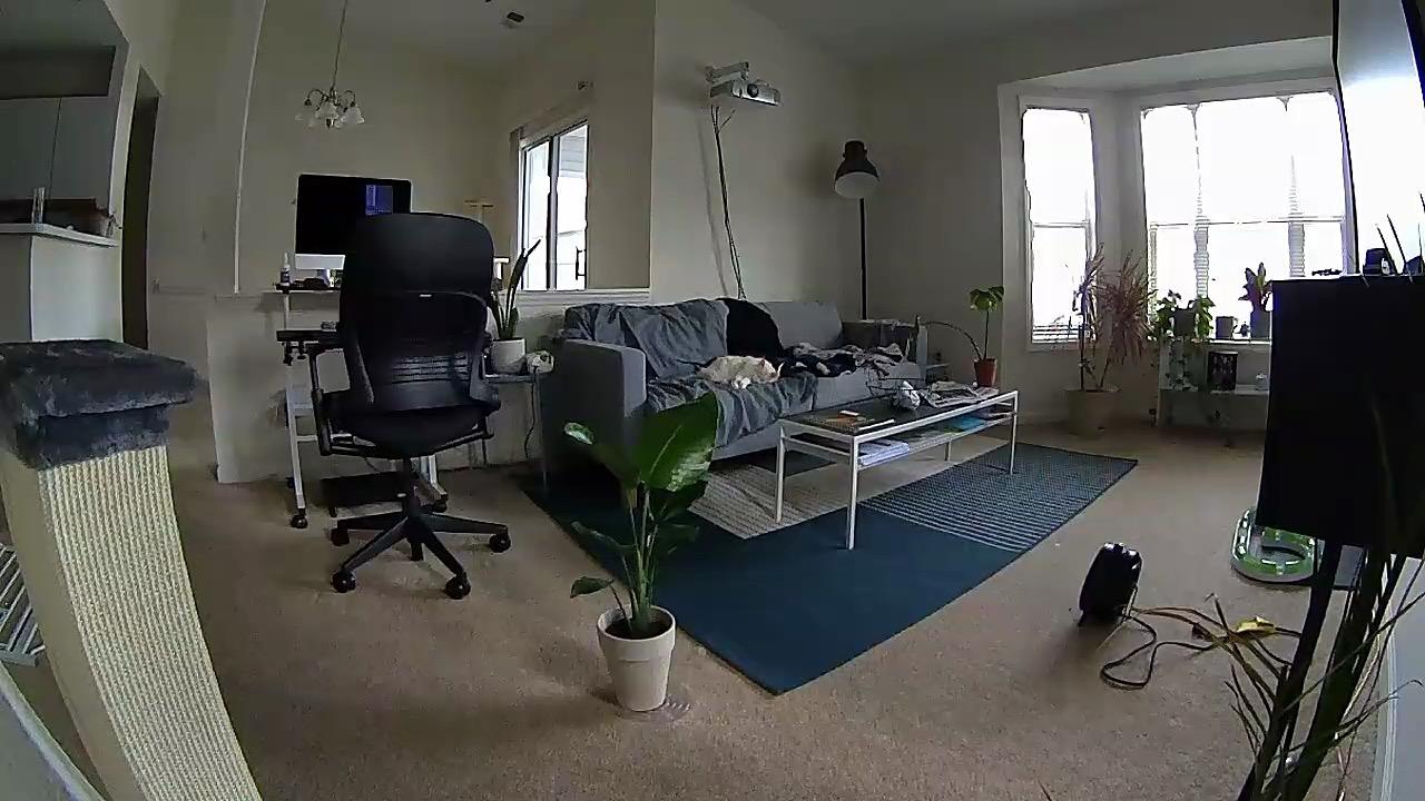 Petcube Play 2 Wi-Fi Pet Camera with Laser Toy for Cats & Dogs, 1080P HD Video, 160° Full-Room View, 2-Way Audio, Sound/Motion Alerts, Night Vision, Pet Monitoring App customer photo 1