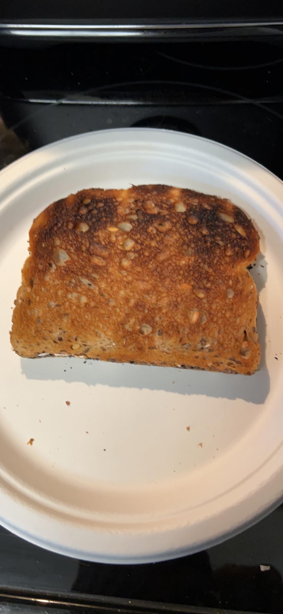Breville BTA735BSS Toast Select Luxe Kitchen Toaster, 2 Slice, Brushed Stainless Steel customer photo 2