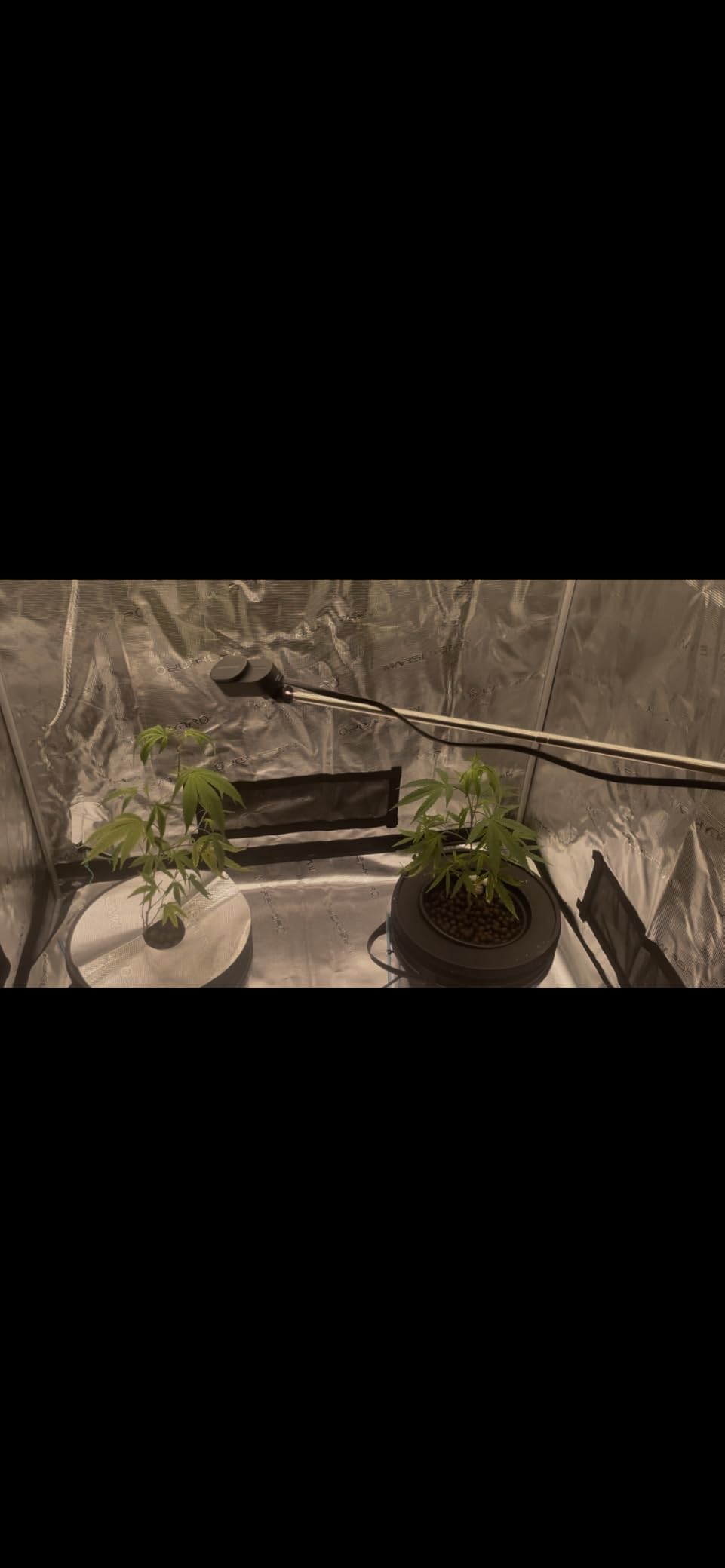 MARS HYDRO 4x4 Advanced Grow Tent, 48