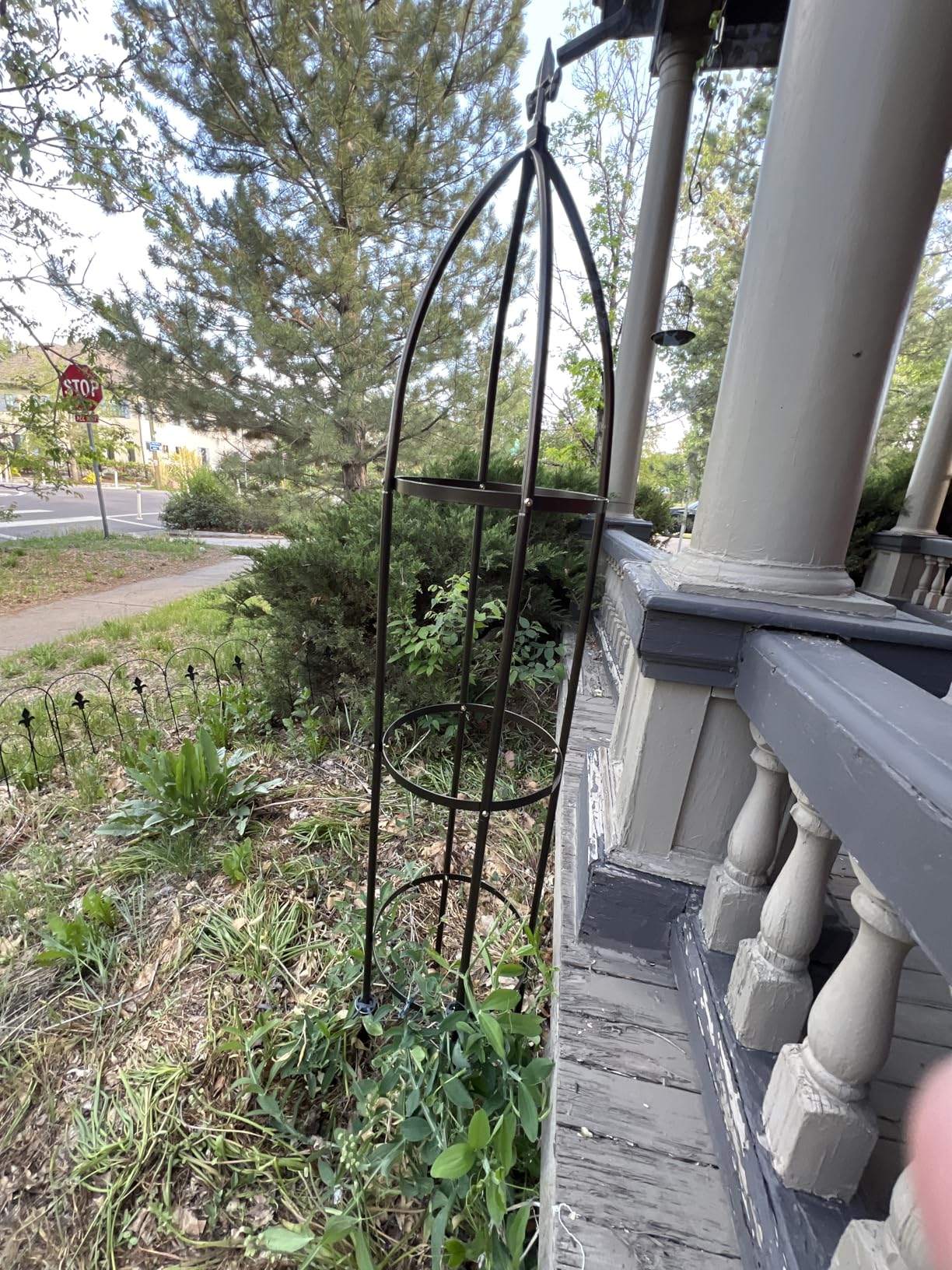 100% Metal Garden Obelisk Trellis Heavy Duty 6.3 ft Tall for Climbing Vines | Upgraded 16mm Thick Steel Tubes Rustproof Bronze Tower, 4.9lb Tall Plant Support Stands for Flowers, Roses, Clematis & Tomato customer photo 1